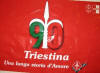 Bandiere 90 anni Triestina
