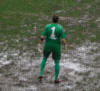  Portiere Franceschin 