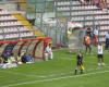 Panchina Triestina 