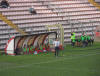 Panchina Triestina