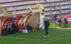 Panchina Triestina
