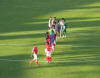 Squadre a metacampo
