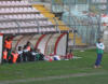 Panchina Pordenone
