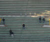  Tifosi Cremonese