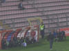 Panchina Triestina
