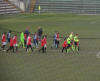 Squadre in campo 