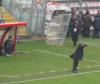 mister Galderisi